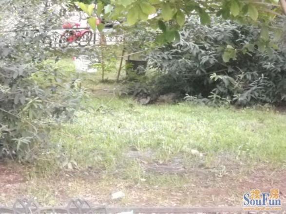朝内北小街实景图