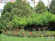 朝阳门外·朝阳门南大街·2室·1厅