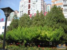 新上 朝阳门外 市委家属楼 正规一室一厅 宽敞整洁 满五年