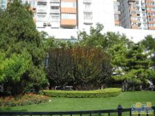 朝阳门外·朝阳门南大街·2室·1厅