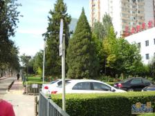 市委家属楼东西向两居室,户型方正,采光好,精装修