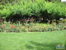 朝阳门南大街 3室1厅 西