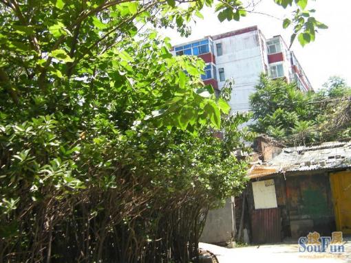  ���⡤�����š���������·3��Ժ��3�� 