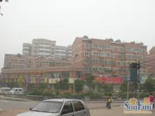 黄屯小区四区 2室1厅 南 北