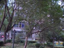 苏州桥三条地铁2层上下楼方便南北通透