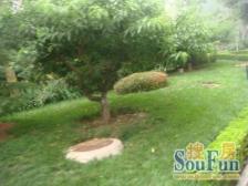 南北通透,一梯两户,封闭管理,24小时安保