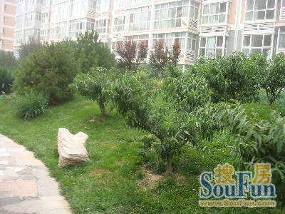  ʤ��ܰ԰4��2��3���ϱ�����24000.00Ԫ/�³��� 