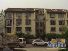 东花市北里中区南北通透跃层,满五唯一不临街,可看房