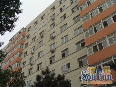  ���⡤�����š�ǰ�Ŵ�դ����1�� 