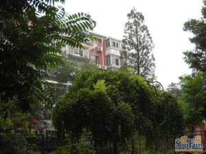 农科院皂君西里院中院低楼层