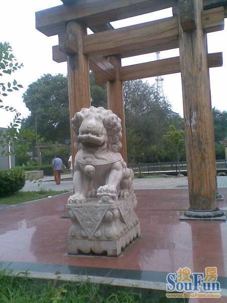 小区相关图