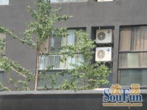 风格派1室0厅南