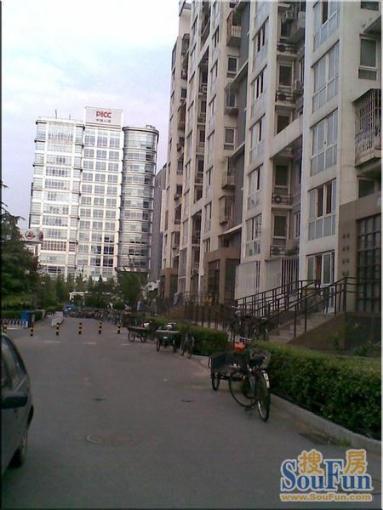  ����С��1��1��1���ϳ���7700.00Ԫ/�³��� 