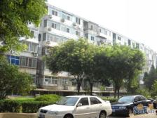 金福苑小区温馨两居室 有正规客厅 看房随时