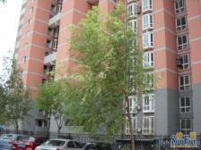 新都丽苑 3室2厅 东