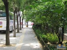 1+22号线甘露园四方形三居诚意出售