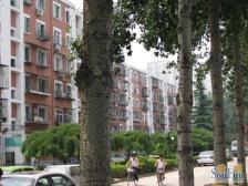 康家园小区明厅南北通透一居室满五年唯一