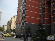 新都丽苑1室1厅西