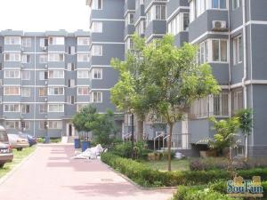 城子大街132号院高楼层采光充足适合居住