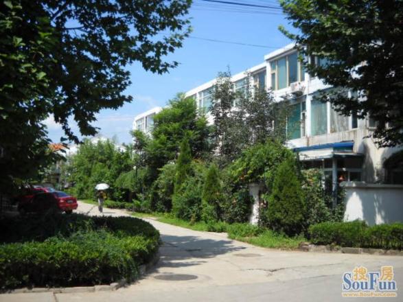 颐和山庄小区租房,五室二厅,上地马连洼西北旺 独栋别墅出租 包物业