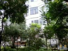 明光北里3室1厅东南北
