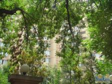 绿景馨园2室1厅南北