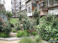 月季园东里2室1厅南北