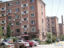 月季园东里2室1厅南北