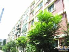 天宁寺东里南北通透正规三居室明厨明卫户型方正