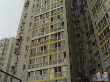 左安浦园东向带阳台大厨房大卫生间小户型