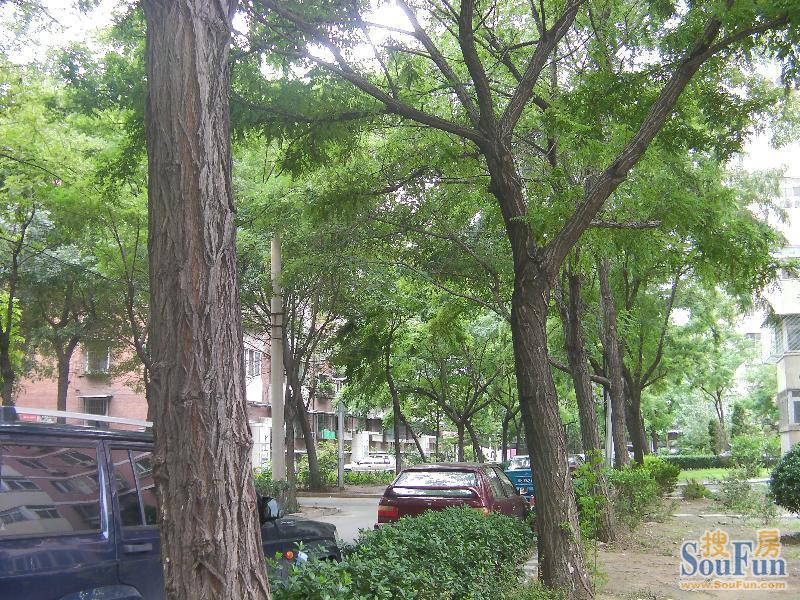 小区相关图