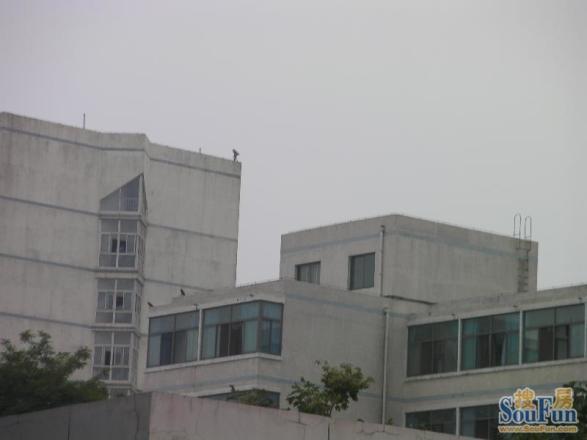 车公庄中里小区实景图