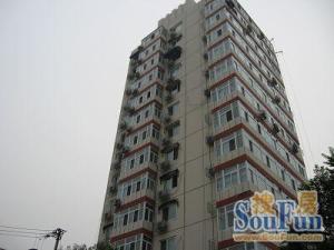 三里河东路2室1厅东北