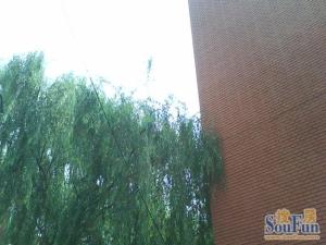 芳草地西街3室1厅东西