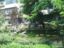 日坛公园旁精装修两居室有客厅诚意卖可谈