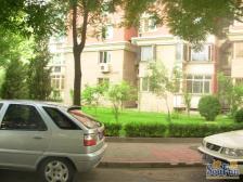 东风家园3室1厅南西北