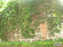 芳园里2室1厅南北
