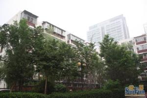 罗庄东里客厅朝南带阳台南北通透满五唯一
