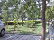 安定门 公园边上南北通透2居室 随时签约 楼层好