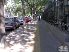 青年湖 和平里 安定门 电梯直达 东南正规一居