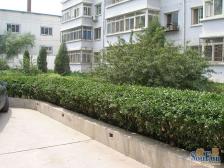 中门寺街67号院 2室1厅 南 北