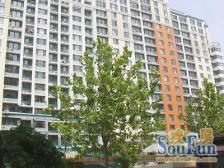 草桥 恋日花都 3室 2厅 看房随时