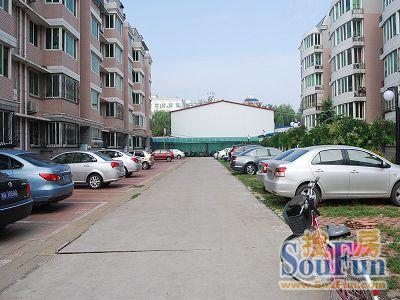 柳岸景园实景图