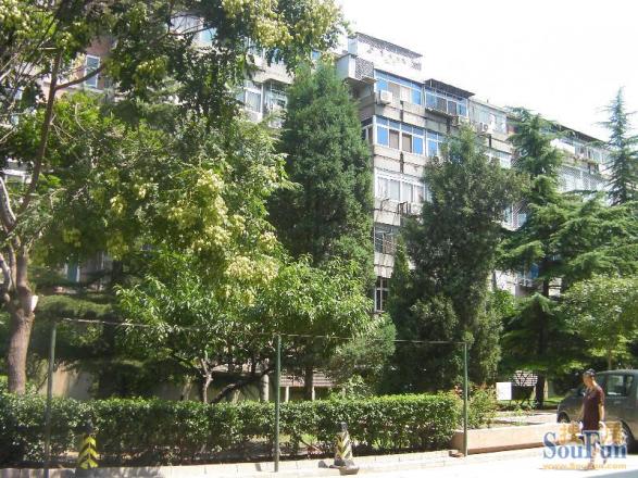 金星小区实景图