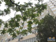 三环内三源里南小街南北通透户型,满五年唯一