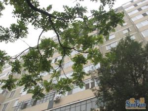 三环内三源里南小街南北通透户型,满五年唯一