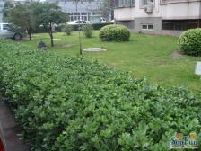 古城·古城地铁家园·2室·1厅