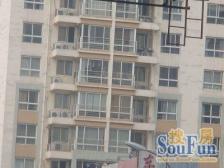 德胜门 高端社区 人车分流 绿化高 环境好