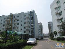 龙鼎园3室1厅南北