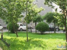 南三环草桥玉芳园南北通透三居室中楼层采光好